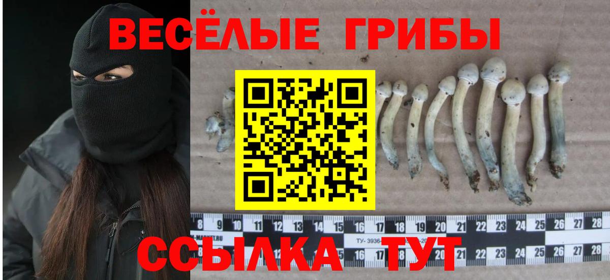 Галлюциногенные грибы мухоморы  Псилоцибиновые грибы прущие грибы  Канаш  Вход с VPN 