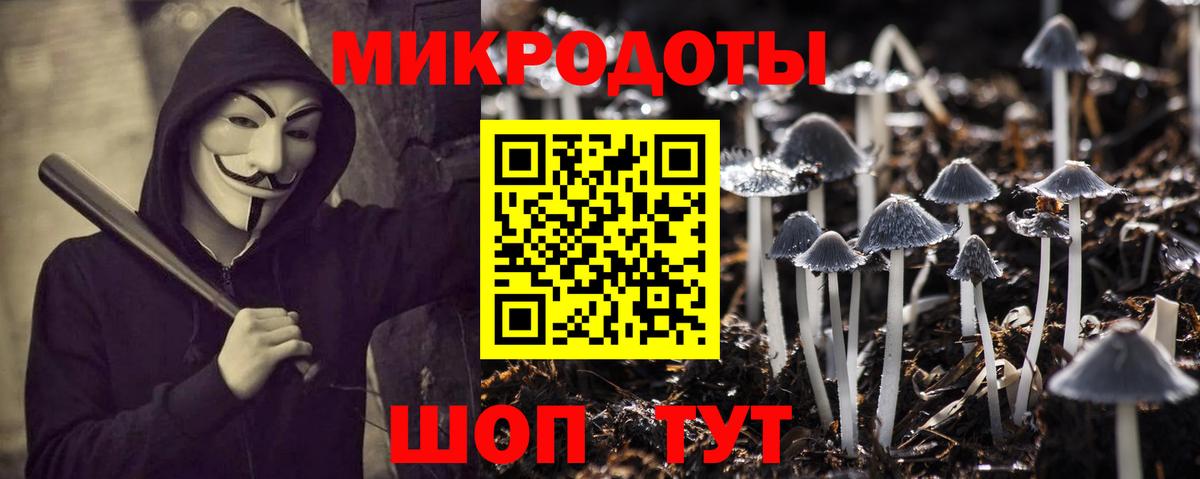 Галлюциногенные грибы MAGIC MUSHROOMS Канаш