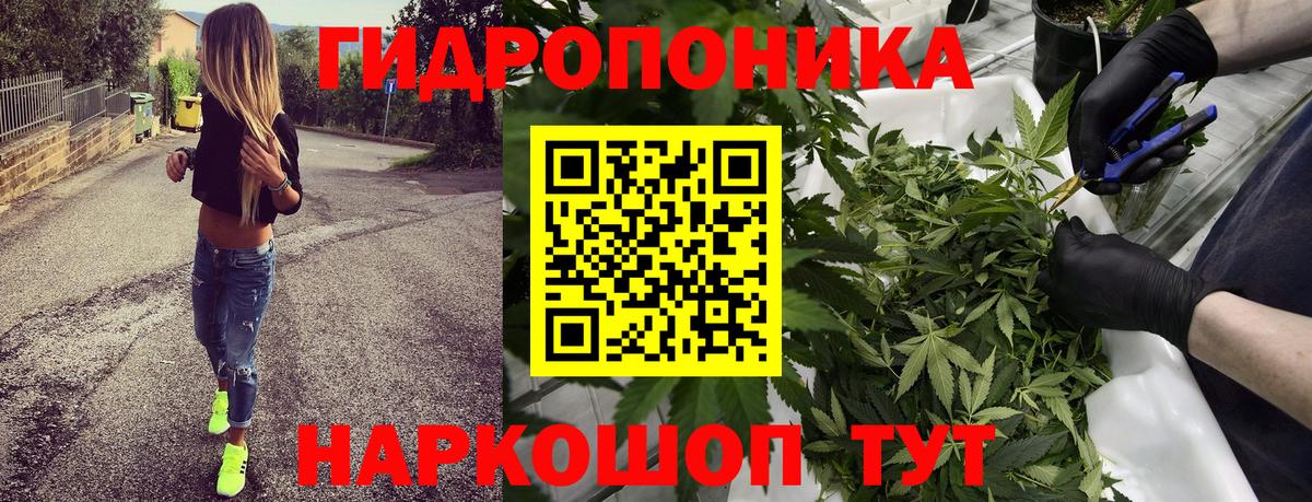 Конопля ГИДРОПОН  Бошки Шишки Bruce Banner  Вход с VPN  Канаш 